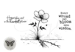 Wounds & Blooms - In the Light