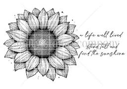 Radiant Resilience