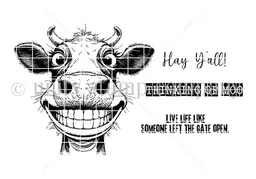 Someone Left the Gate Open Cow
