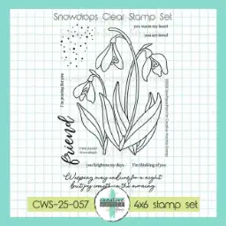 Snowdrops