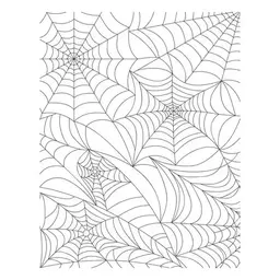 Spider Web Background 