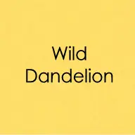 Wild Dandelion