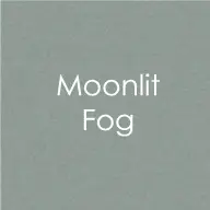 Moonlit Fog