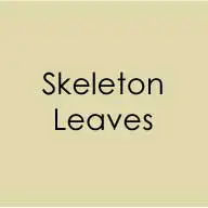 Skeleton Leaves