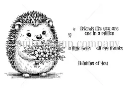 A Hedgie Hello