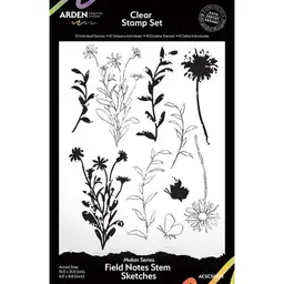 Field Notes Stem Sketches