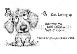 Look Up Pup