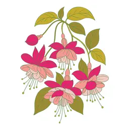 Layered Magical Fuchsia
