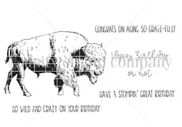 Aging Graze-Fully