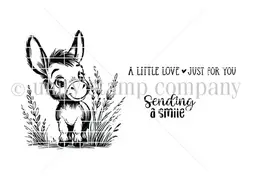 Darling Donkey Smiles