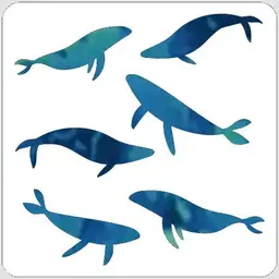 Whales Swimming