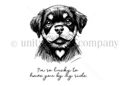 Sandy - Rescue Tales