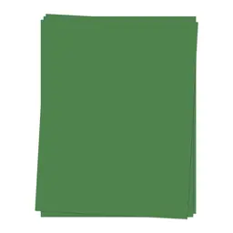 Basil