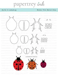 Build-A-Ladybug