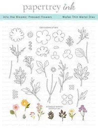 Into the Blooms: Pressed Flowers